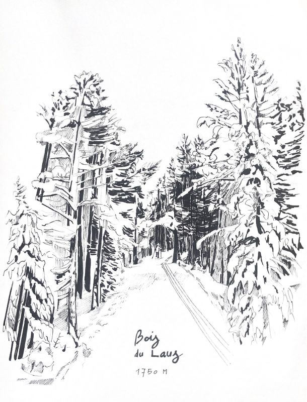  - Chiara Bonotto - illustrateurs/rices