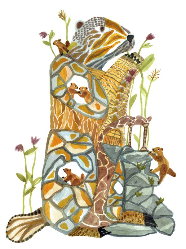  - Julie Maurice - illustrateurs/rices