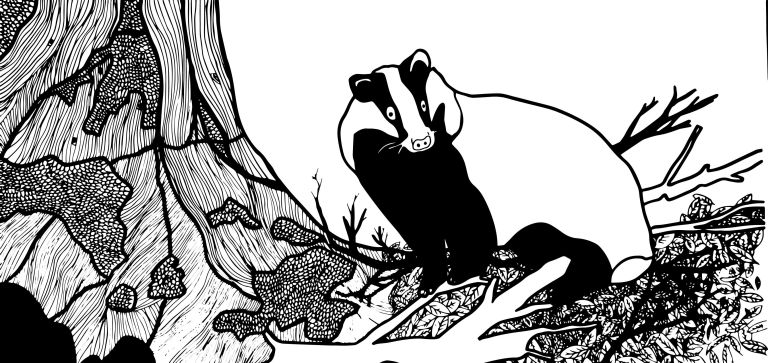  - Julie Maurice - illustrateurs/rices