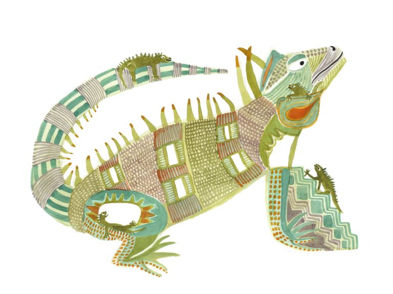  - Julie Maurice - illustrateurs/rices