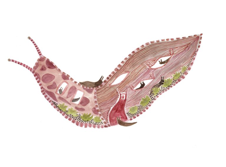  - Julie Maurice - illustrateurs/rices