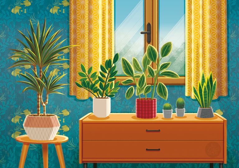 Illustration - Les Z'illuS de Jo (Joanna DESILES) - illustrateurs/rices
