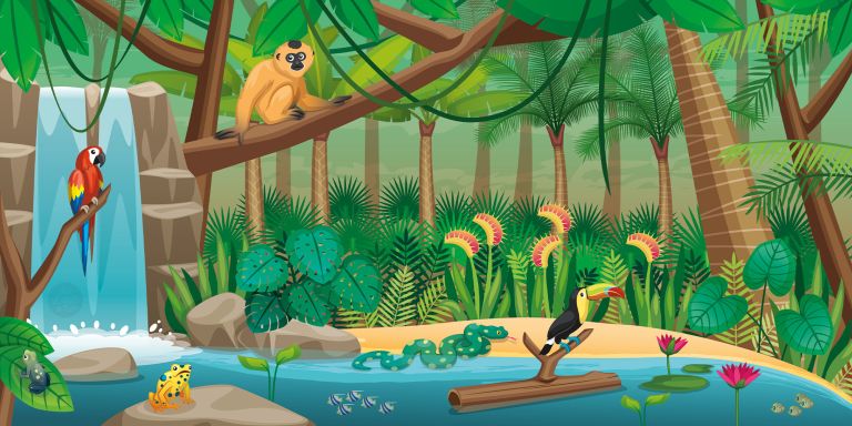  - Les Z'illuS de Jo (Joanna DESILES) - illustrators