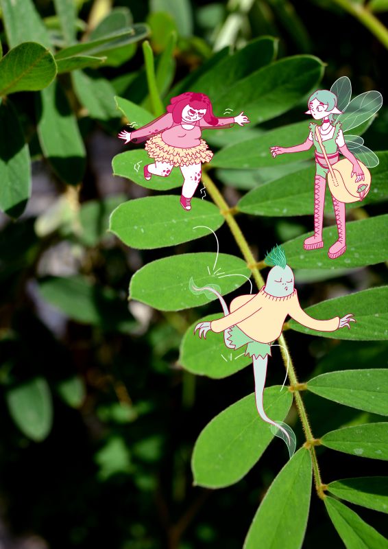  - MORGANE AKKAZA - illustrateurs/rices