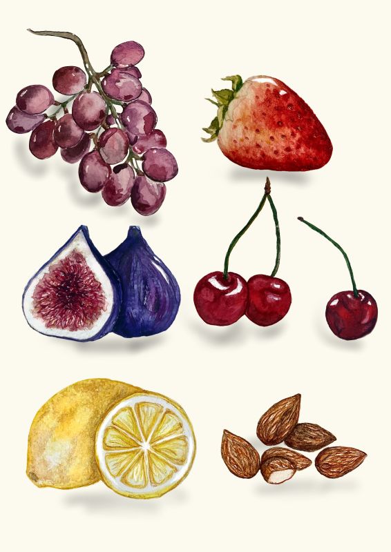 Illustration - NourAnouk - illustrateurs/rices