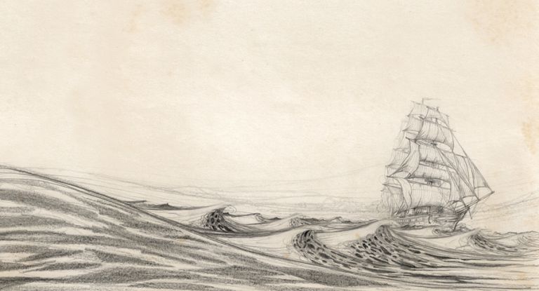 Narcisse - hubert campigli - illustrateurs/rices