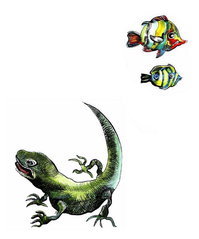 Illustration. - caroline chavanne - illustrateurs/rices