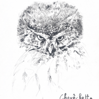 Chiara Bonotto - illustrateurs/rices