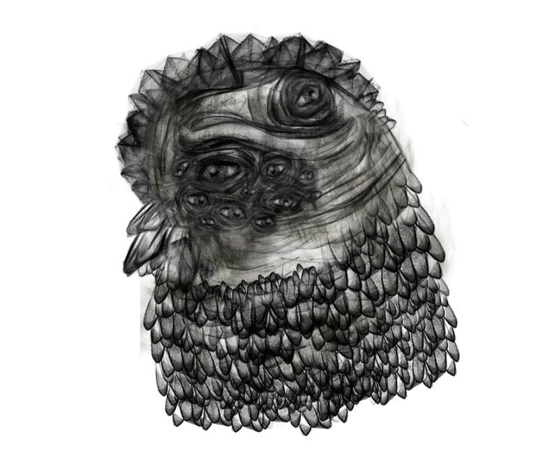  - picquet greg comoseta - illustrateurs/rices