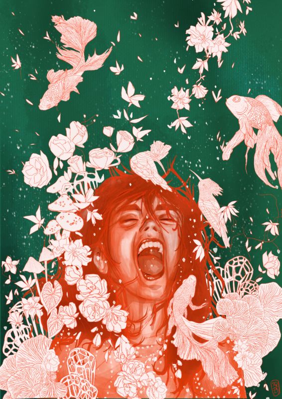 WILD - julie quintard - illustrateurs/rices