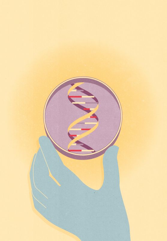 Illustration ©Kotryna Zukauskaite - kotryna zukauskaite - illustrateurs/rices