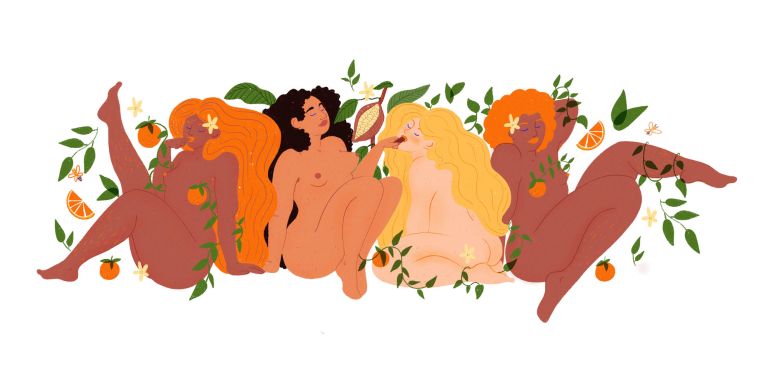Illustration - anaïs meynard la fête sauvage - illustrateurs/rices