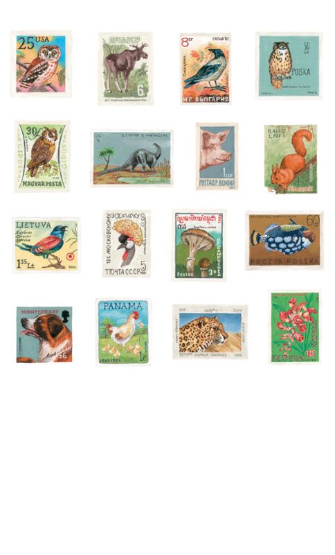 FAUX TIMBRES - marion vandenbroucke - illustrateurs/rices