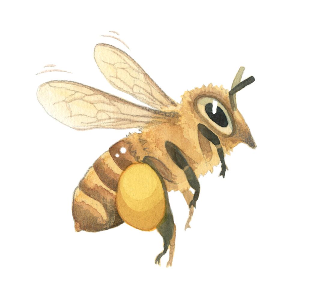 isset($RechercheIndex->data['titre']) ? $RechercheIndex->data['titre'] : ''