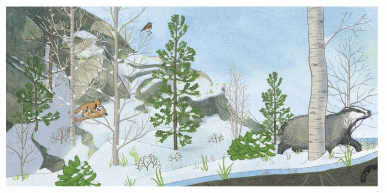  - melissa faidherbe - illustrateurs/rices