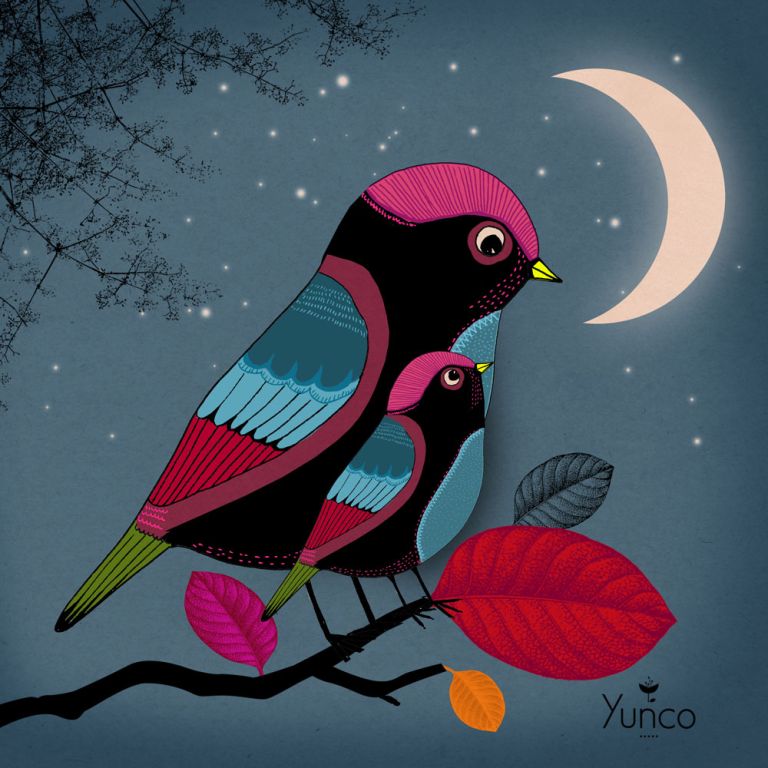 OISEAUX - pauline cottereau junker - illustrateurs/rices