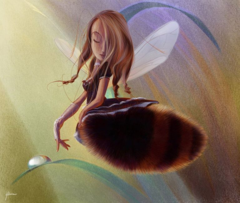 Recherche personnelle - yann hamonic - illustrateurs/rices